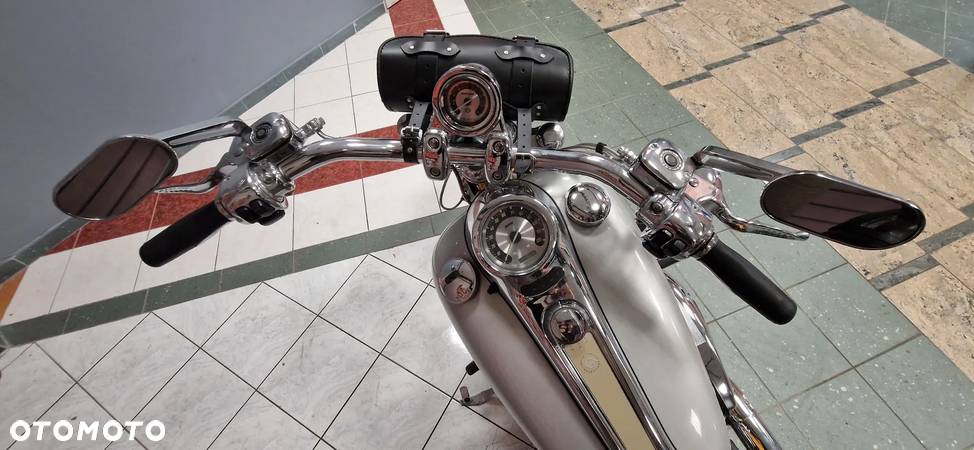 Harley-Davidson Softail - 20