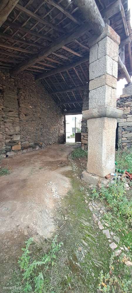 Quinta em Travanca, Mogadouro-16
