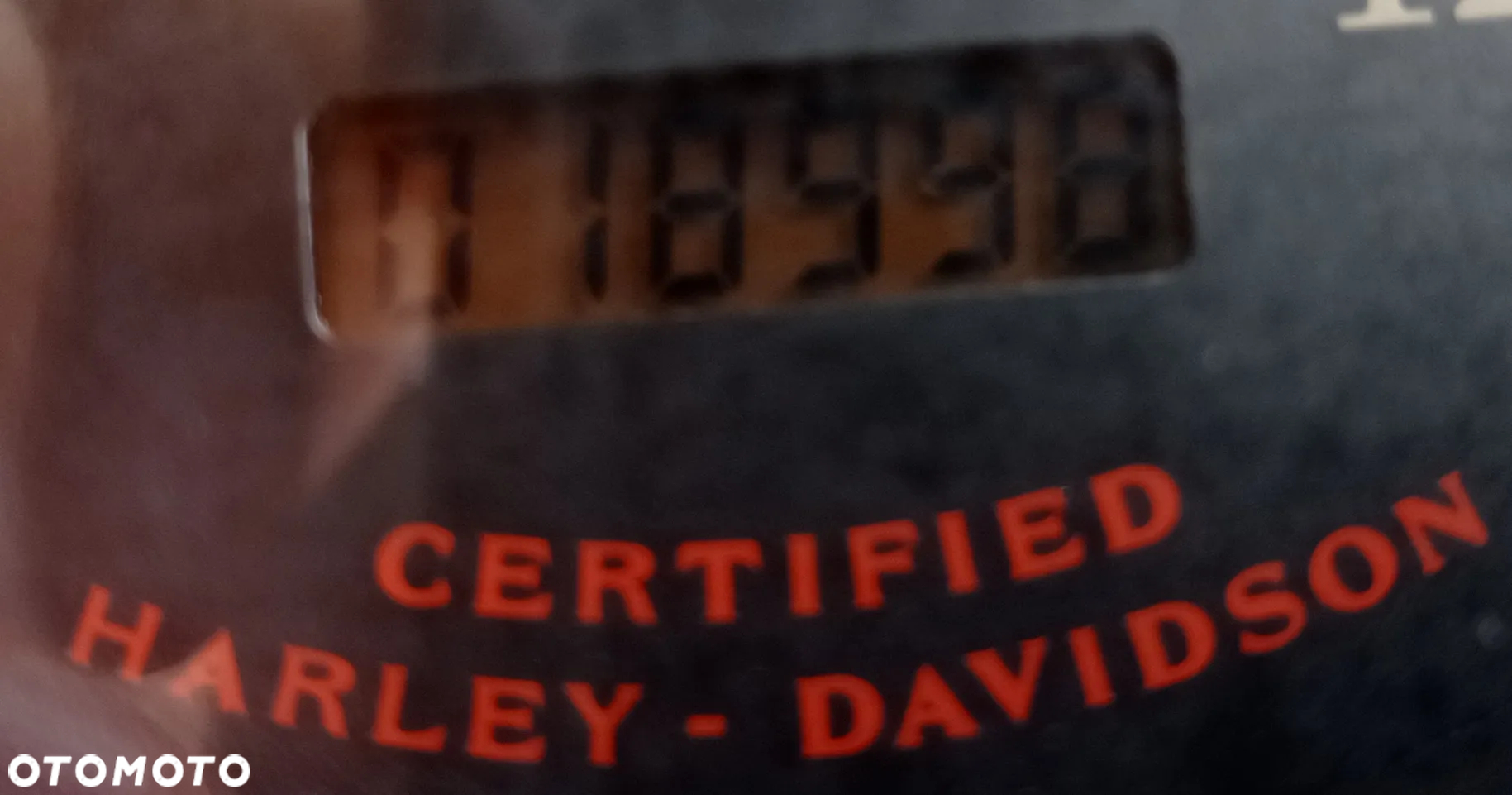 Harley-Davidson Softail Standard - 18