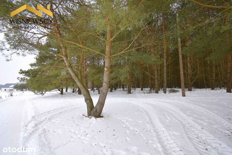 Działka budowlana 3002m2, uzbrojona z lasem-1
