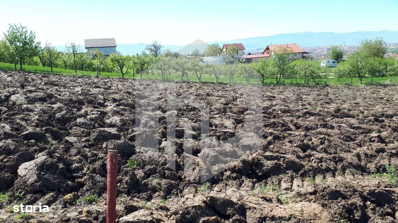 Teren de Vanzare - Gusterita - 5100mp - Intravilan - 0% Comision - Imagine principală: 4/7