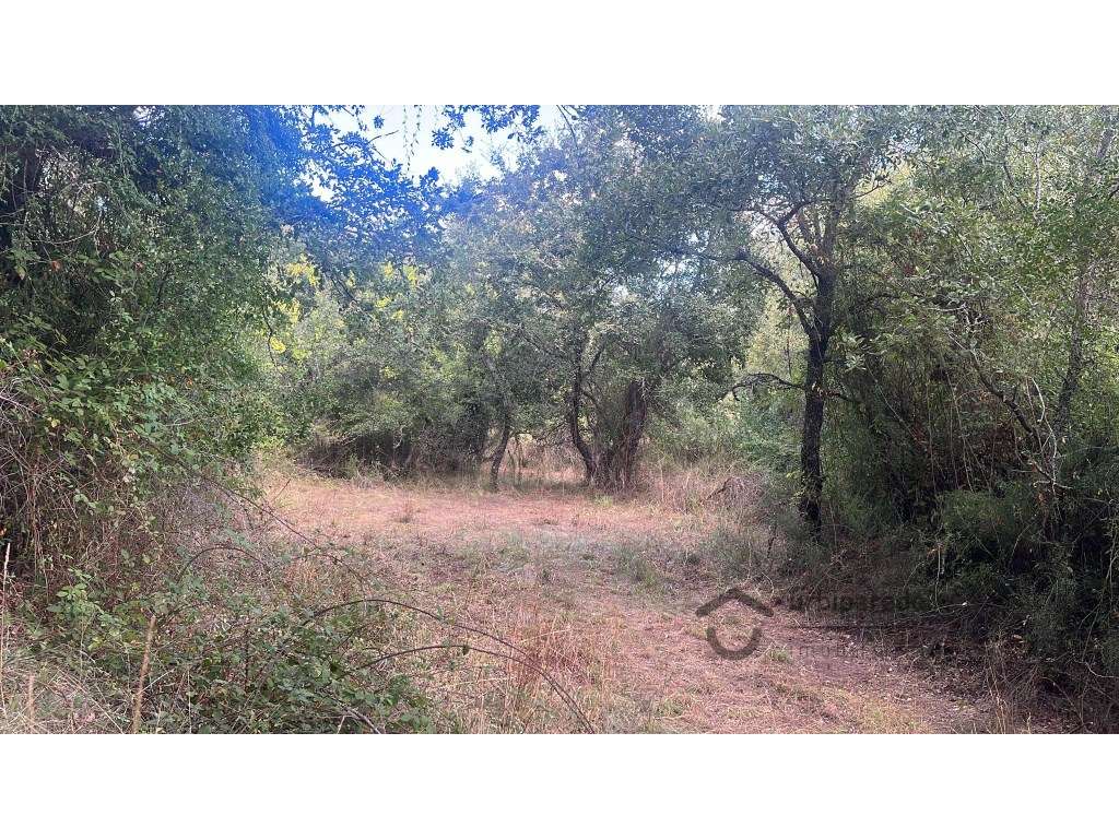 Lote de terreno rústico com 8.750 m2, no Freixial, Bucelas - Grande imagem: 4/18