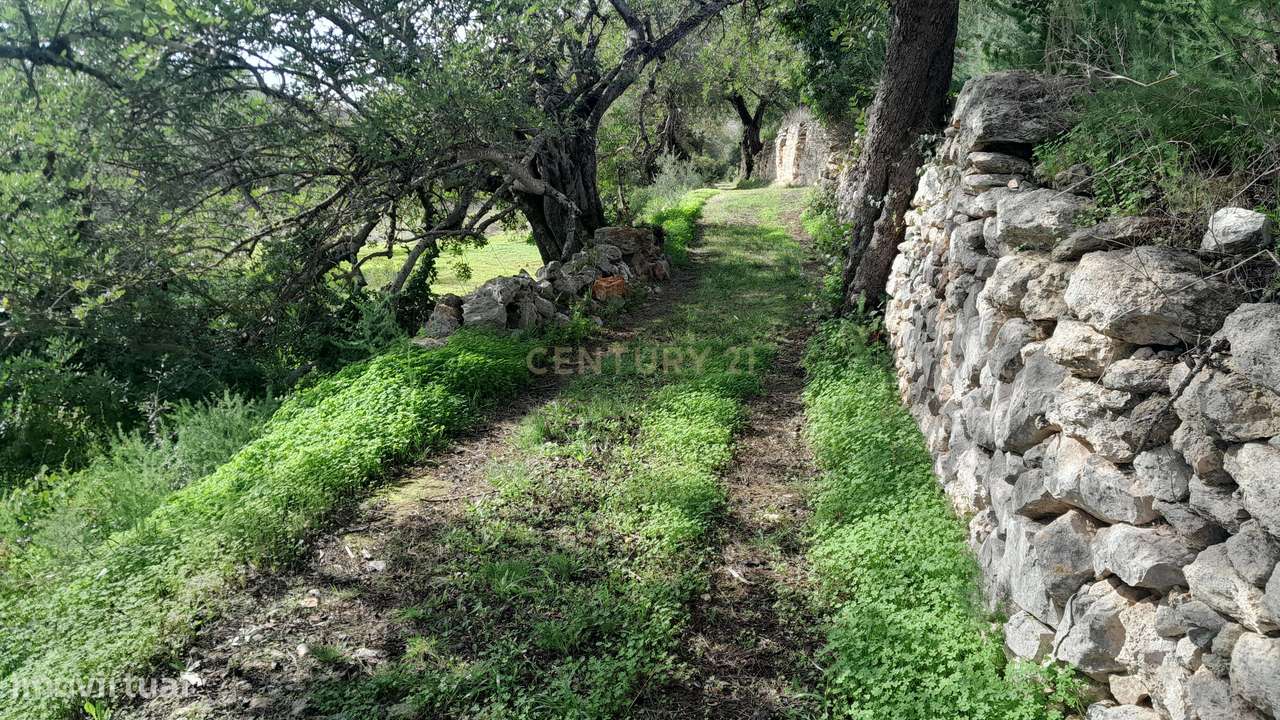 Terreno Rústico em Alfontes, Boliqueime - Grande imagem: 5/16