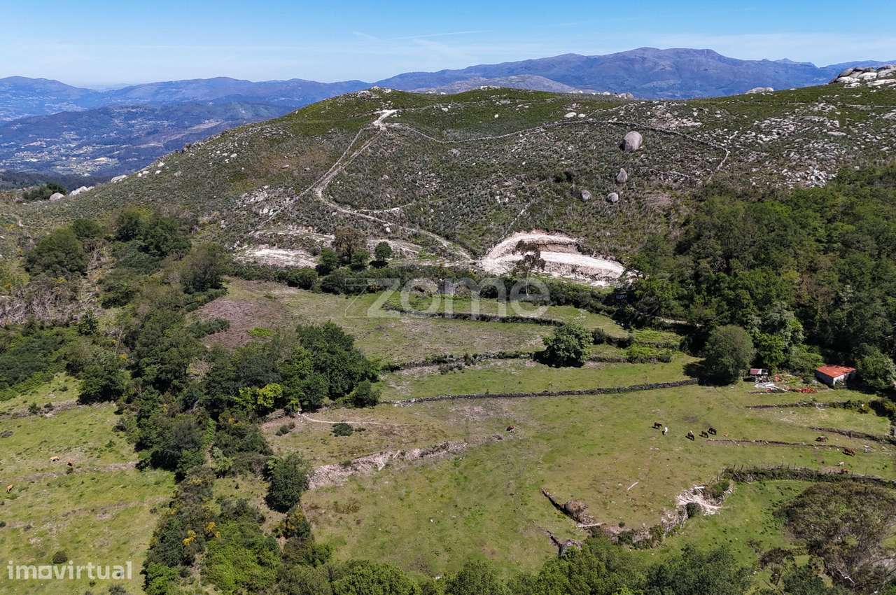 Terreno c/ruina Mixões da Serra-10
