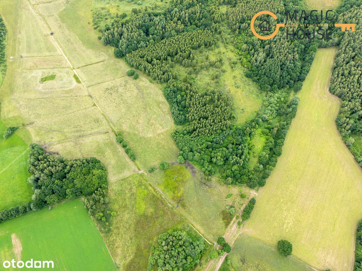 Zwartówko - atrakcyjna nieruchomość gruntowa - Pełny obrazek: 5/12