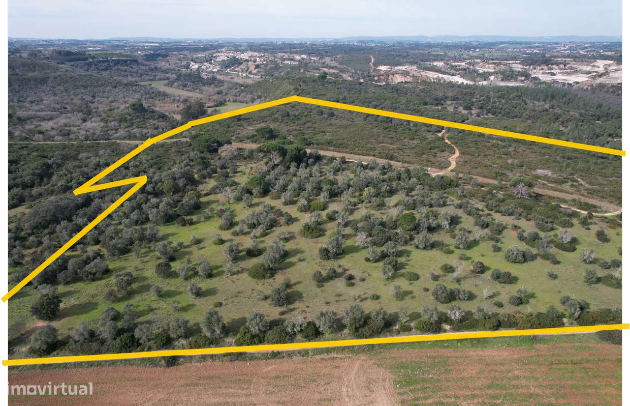 Terreno Para Construção  Venda em Almoster,Santarém - Grande imagem: 4/4