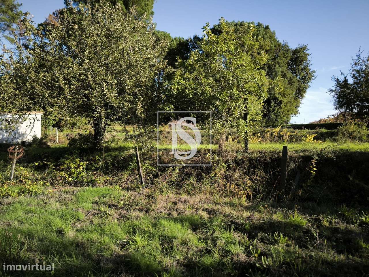 Terreno Rústico com capacidade construtiva em Oliveirinha-10