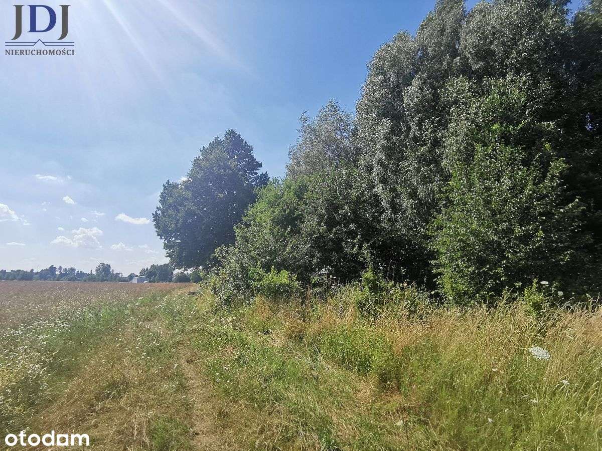 DZIAŁKA 9100 m2- WÓLKA ZABŁOCKA. TUCZNA - Pełny obrazek: 5/7