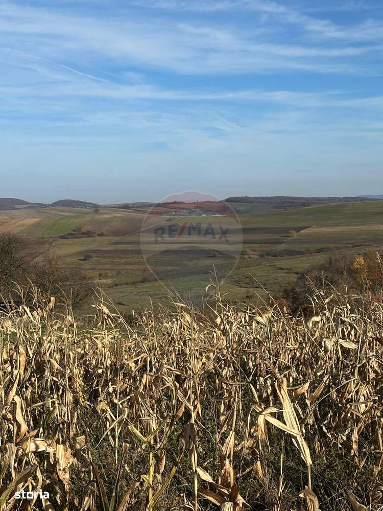 DE VANZARE - TEREN agricol - Imagine principală: 2/3