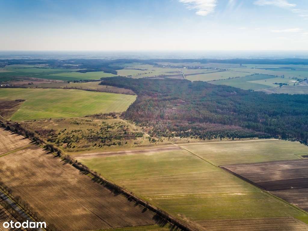 Działki na granicy Baczyna/Marwice miejscowy plan!-5