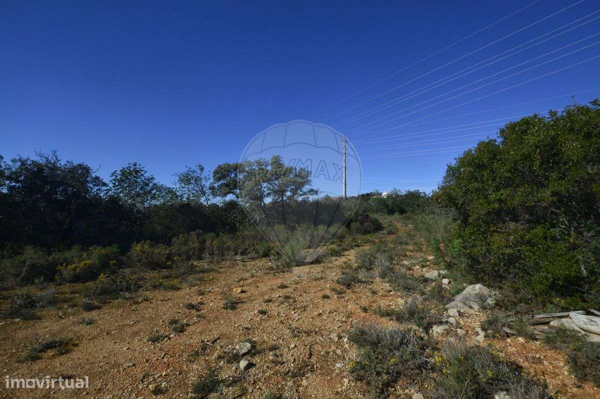 Terreno  para venda - Grande imagem: 3/11