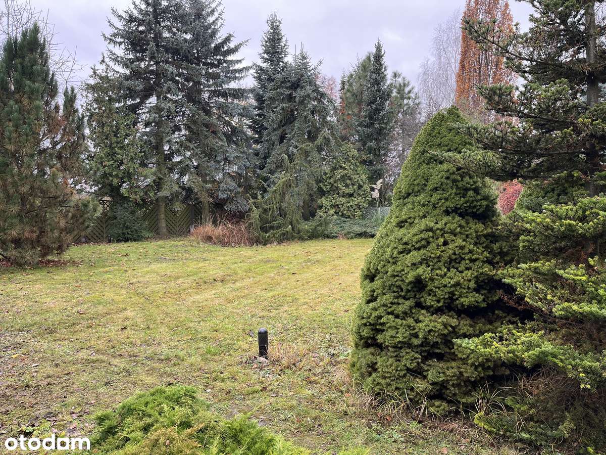 Rezydencja Batorowo 180m2 - Pełny obrazek: 5/19