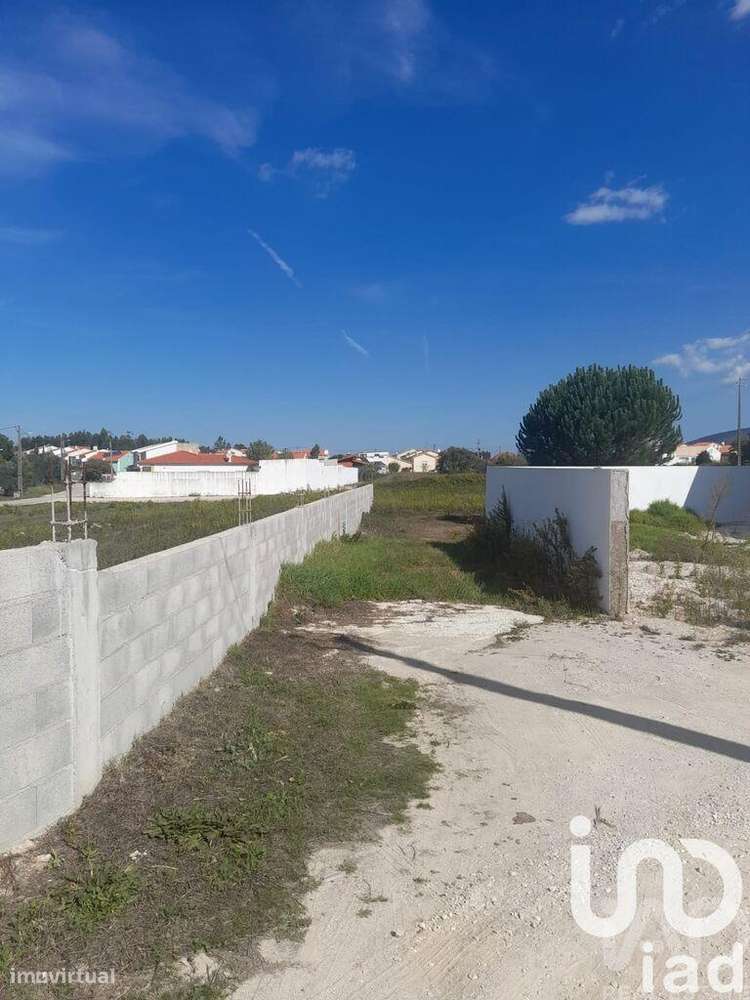 Terreno Agrícola em Aljubarrota - Grande imagem: 5/5