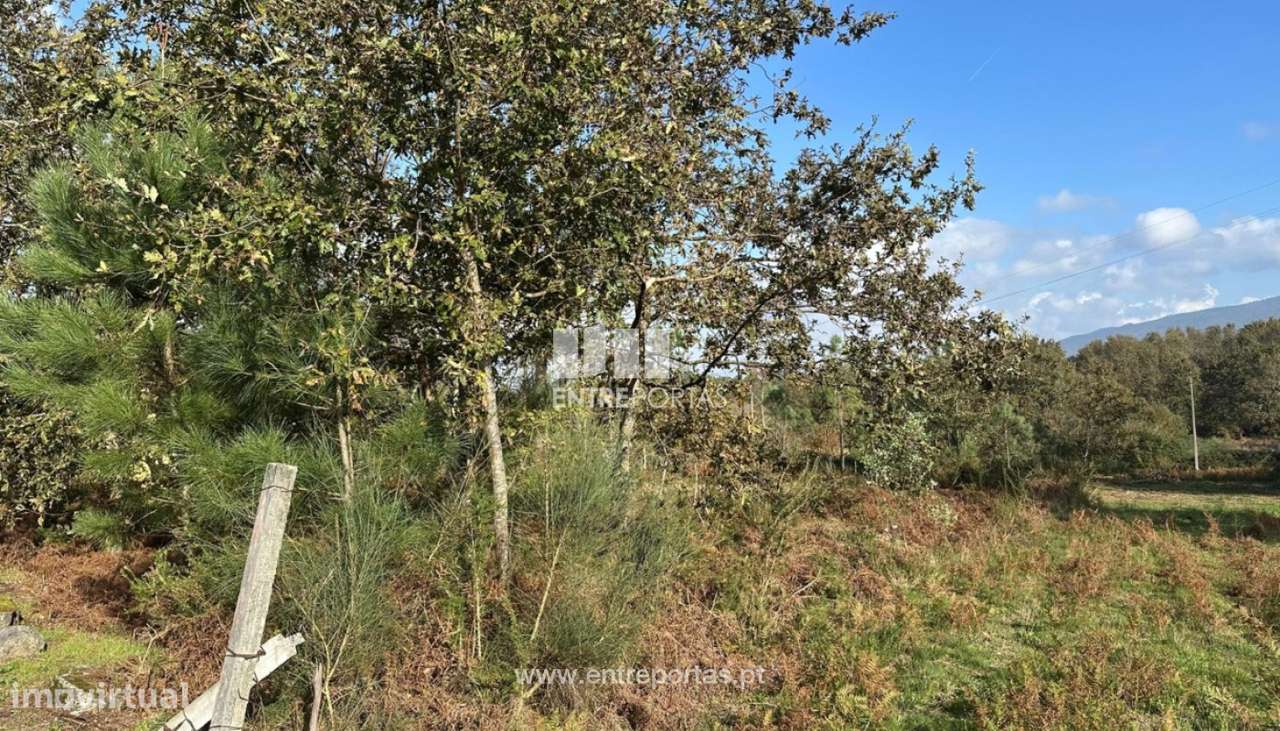 Venda de terreno para construção com 1432m², S. Pedro da Torre, Val - Grande imagem: 2/30