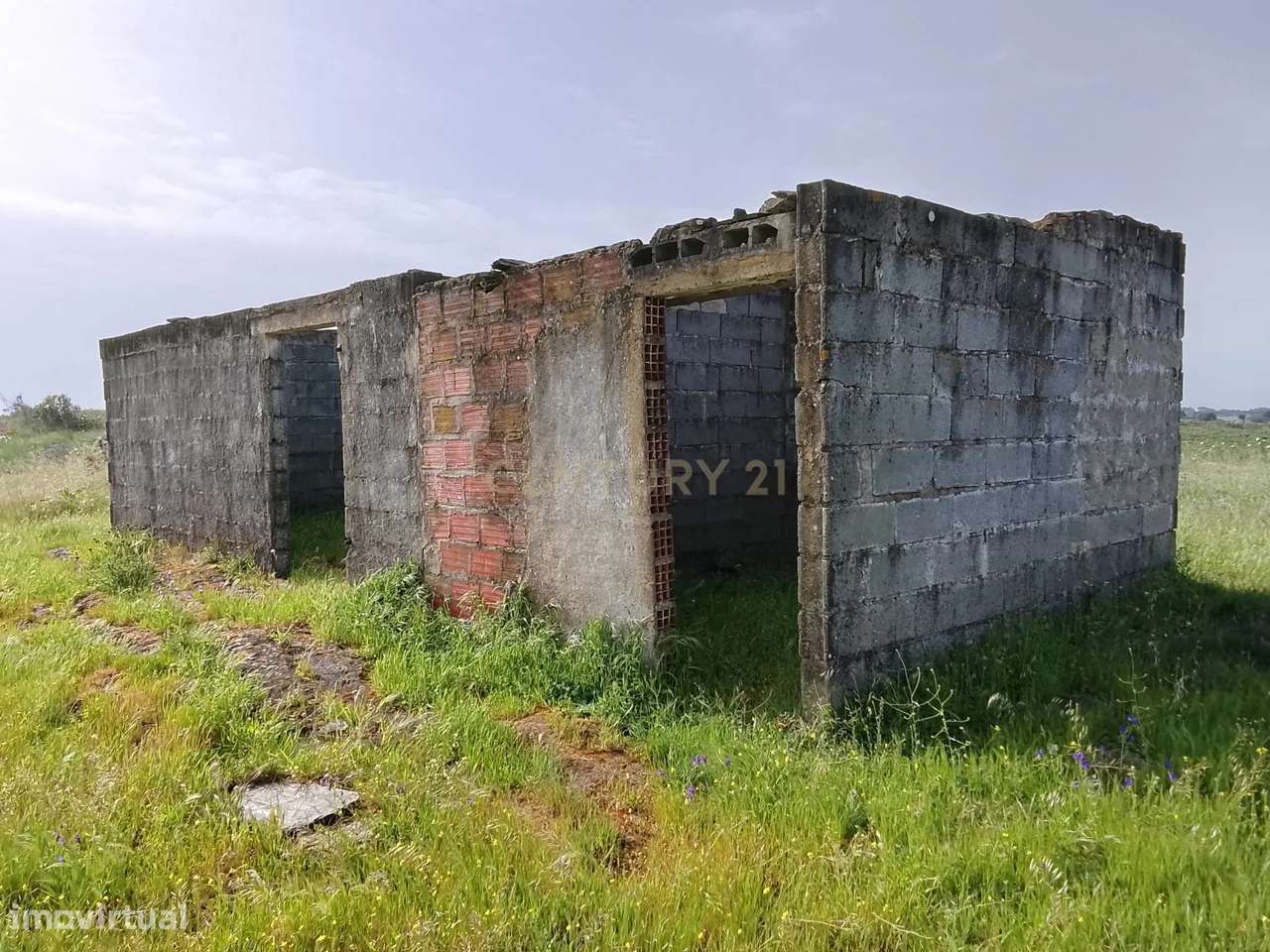 Terreno rústico 16.6ha Montalvão, Nisa-3