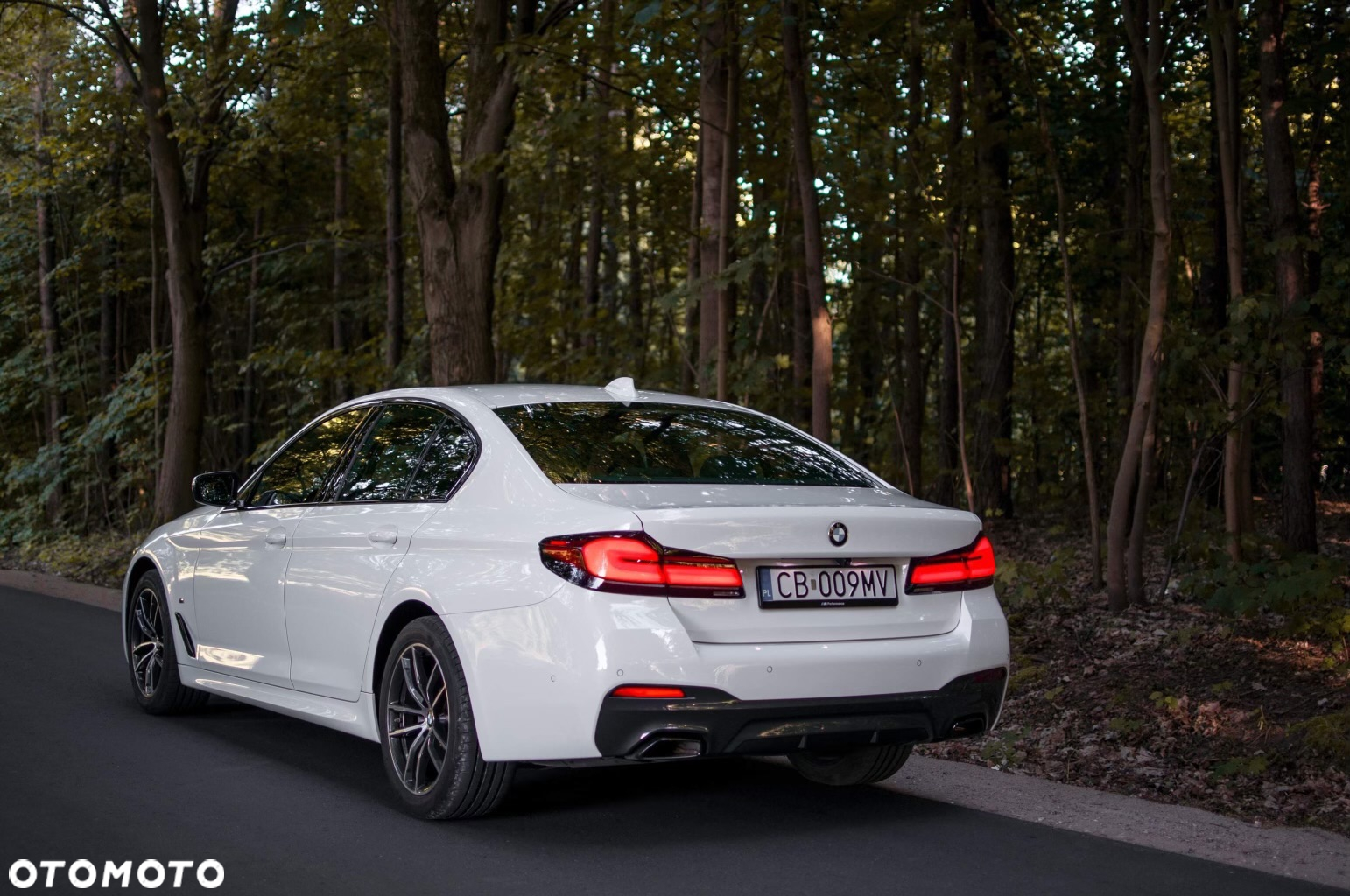 BMW Seria 5 520d M Sport - 14