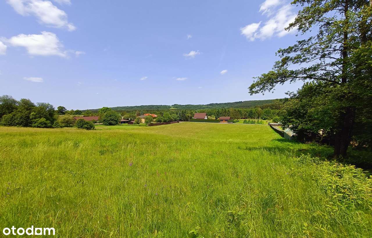 Działki na Roztoczu - Bondyrz-7