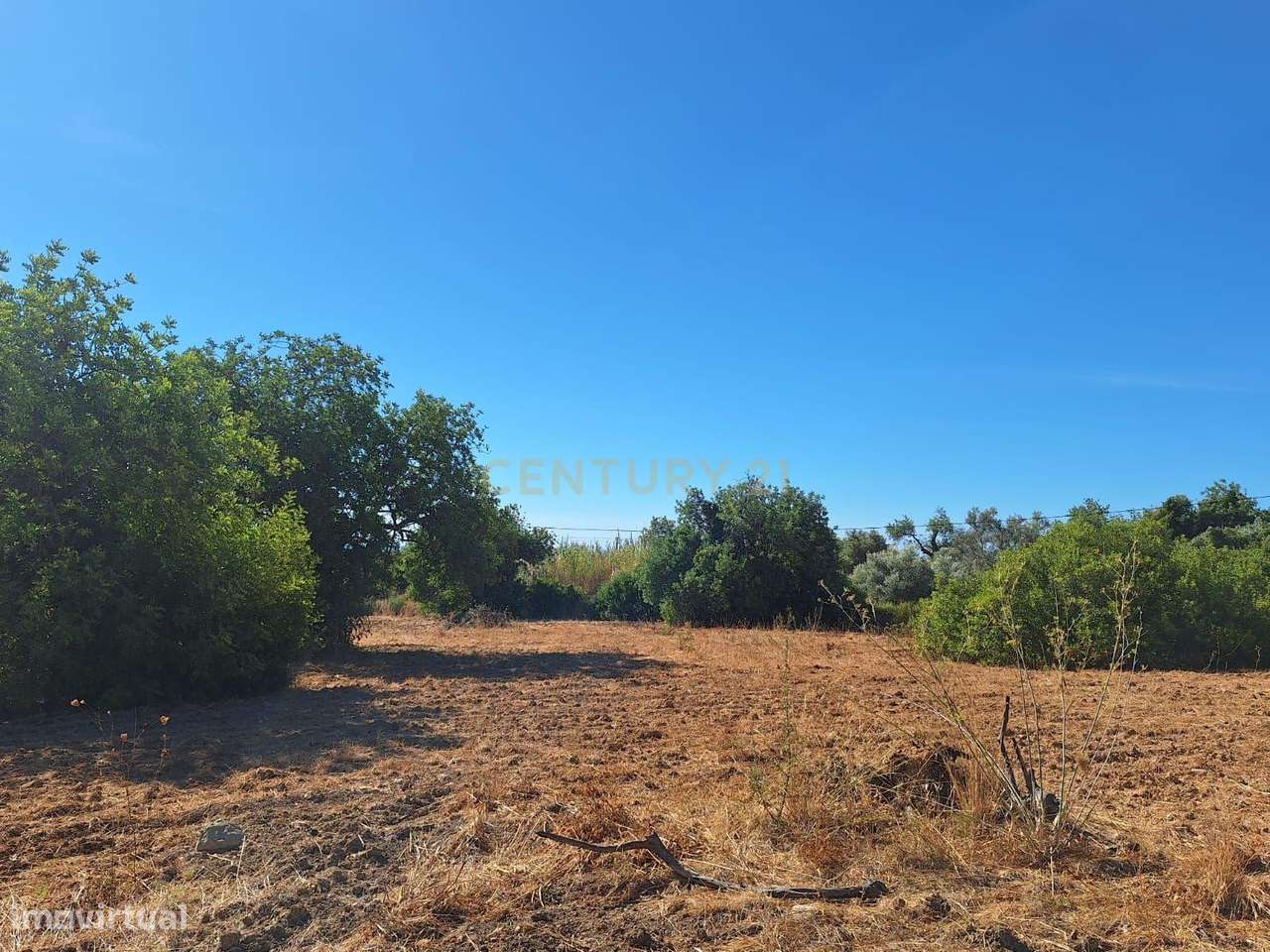 Terreno rústico na Foupana, em Moncarapacho - Grande imagem: 4/9