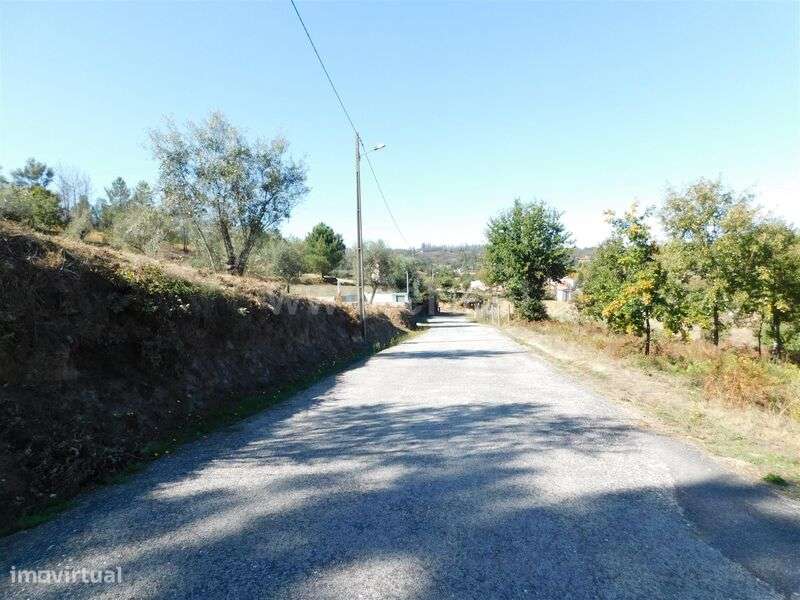 Terreno / Seia, Várzea de Meruge - Grande imagem: 2/10