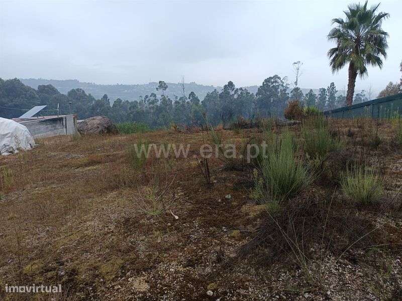 Terreno / Amarante, Mancelos - Grande imagem: 4/4