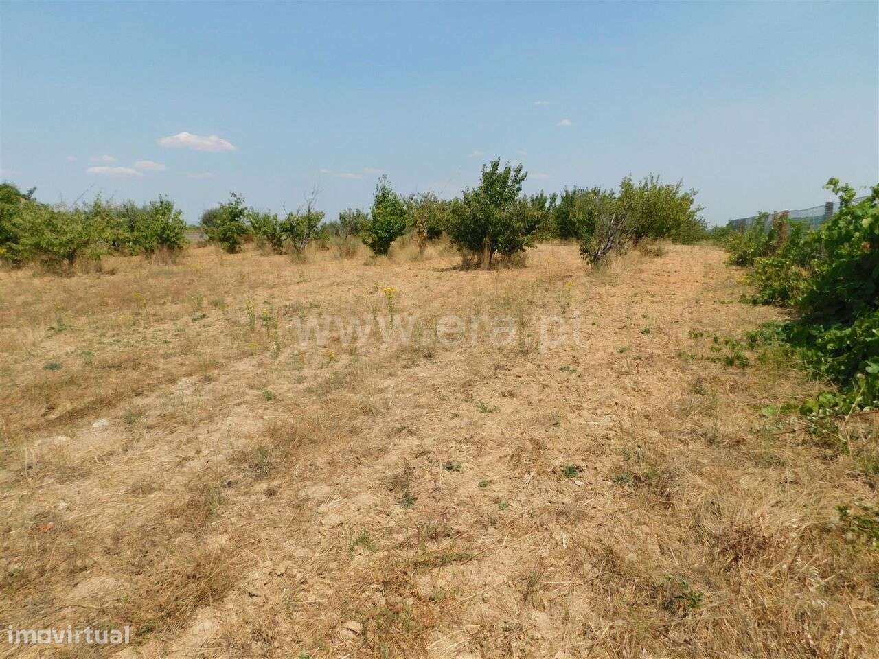 Terreno Rústico / Fundão, Donas - Grande imagem: 2/6