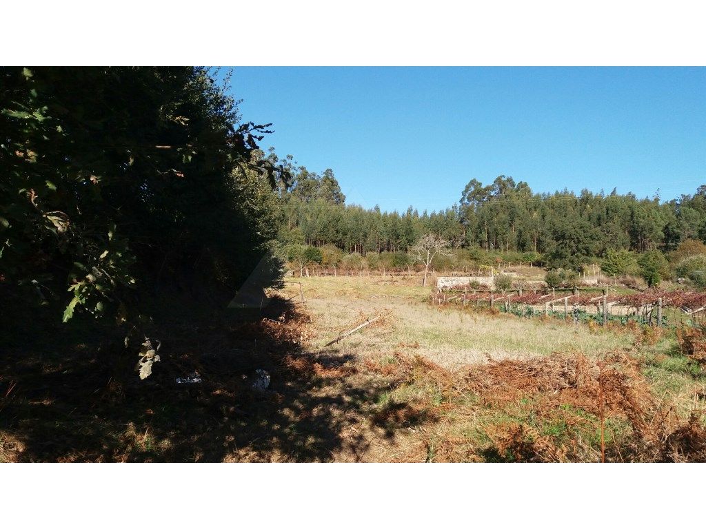 Terreno p/ construção.