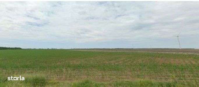 Teren extravilan Pogoanele, ID: R2586845 - Imagine principală: 4/7