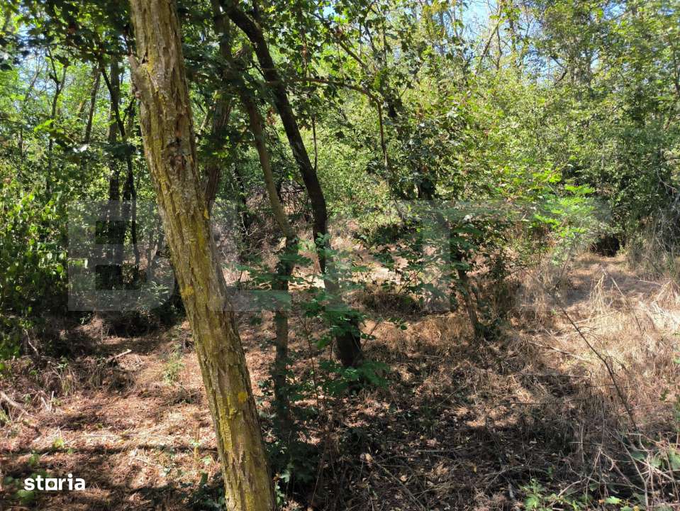 Teren 3000 mp - 1200 mp intravilan, zona Cuparu - Imagine principală: 5/5