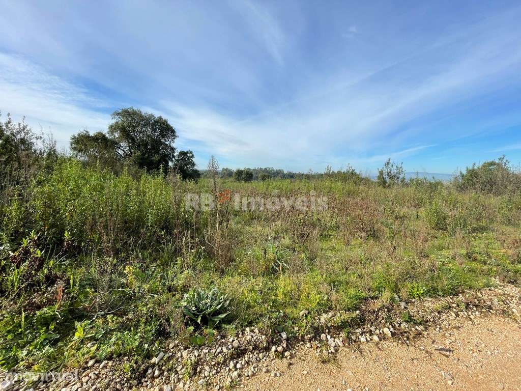 2 Terrenos Mistos - São Pedro de Tomar - Grande imagem: 4/5