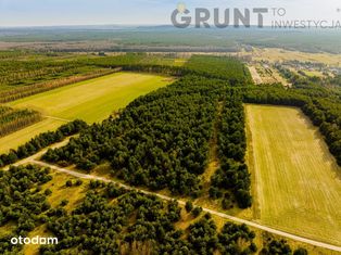 Działki budowlane w sercu lasu - PREMIUM