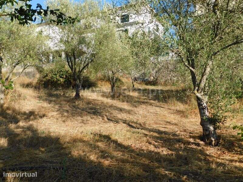 Terreno / Seia, Seia - Grande imagem: 4/12