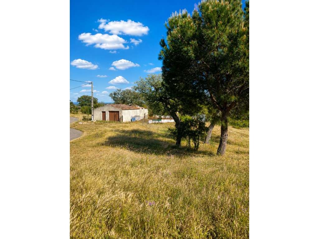 Terreno de 12ha com projeto aprovado em Grândola-17