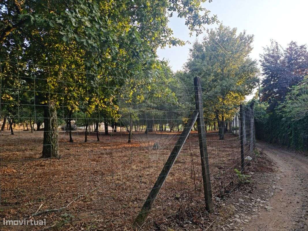 Terreno  para venda - Grande imagem: 4/4