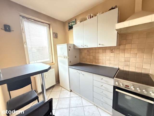 Centrum, Wilda 2- pokoje-6