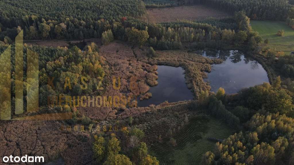 Na sprzedaż kompleks stawów w Miłowicach-10