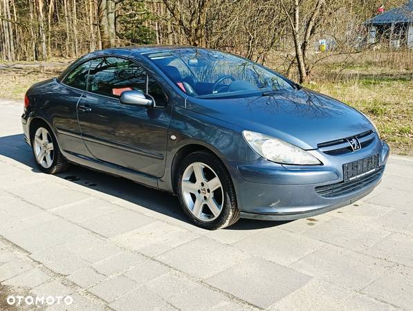 Peugeot 307 CC 2.0 - 23