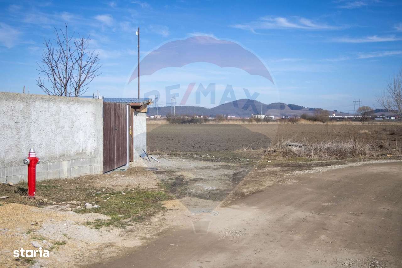 Teren 6400 mp, Drumul cu Plopi, Sanpetru - Imagine principală: 4/8