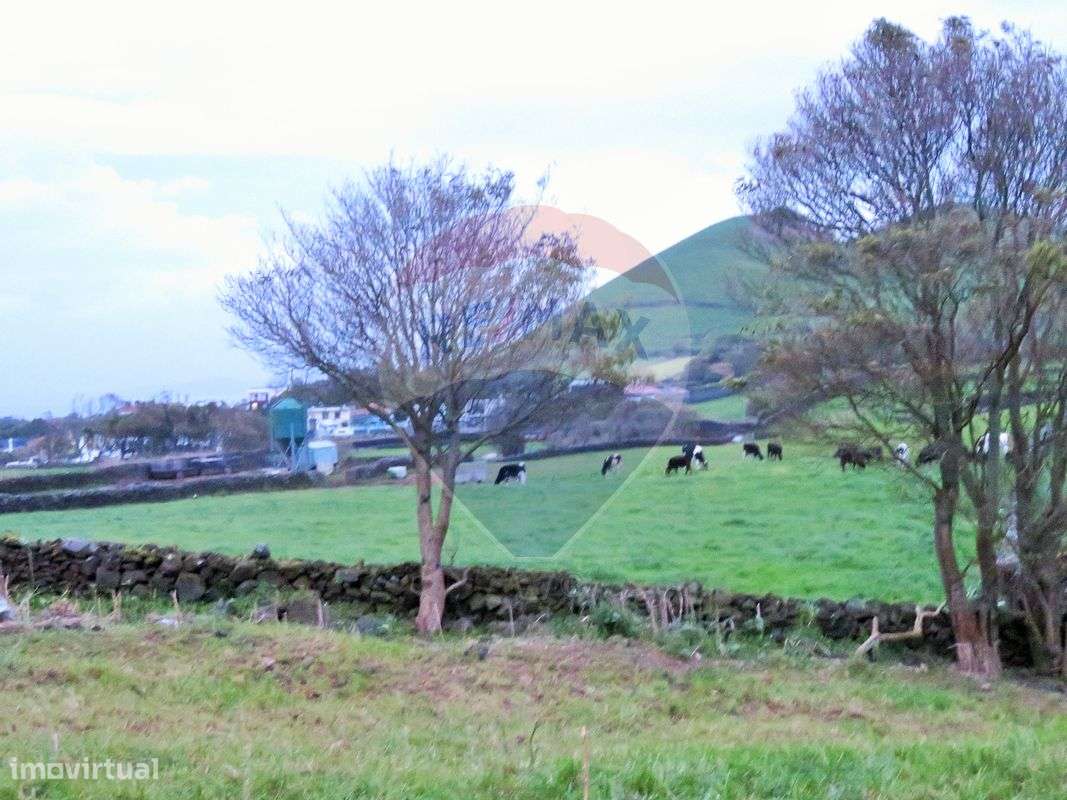 Terreno  para venda - Grande imagem: 5/8