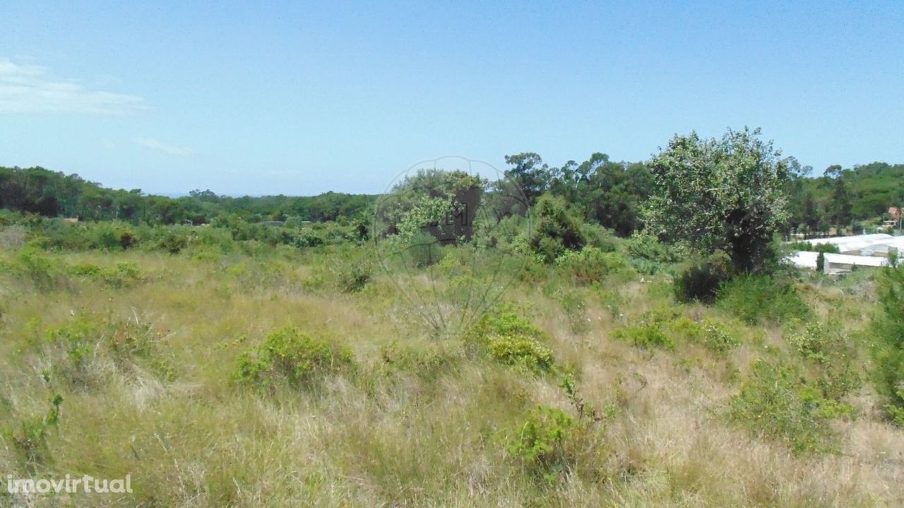 Terreno  para venda