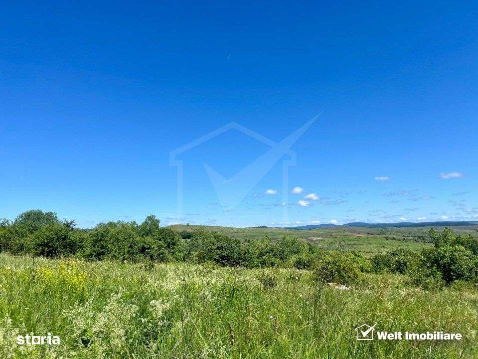 Oportunitate investitie, Chinteni, zona Macicas 31.600 MP - Imagine principală: 2/9