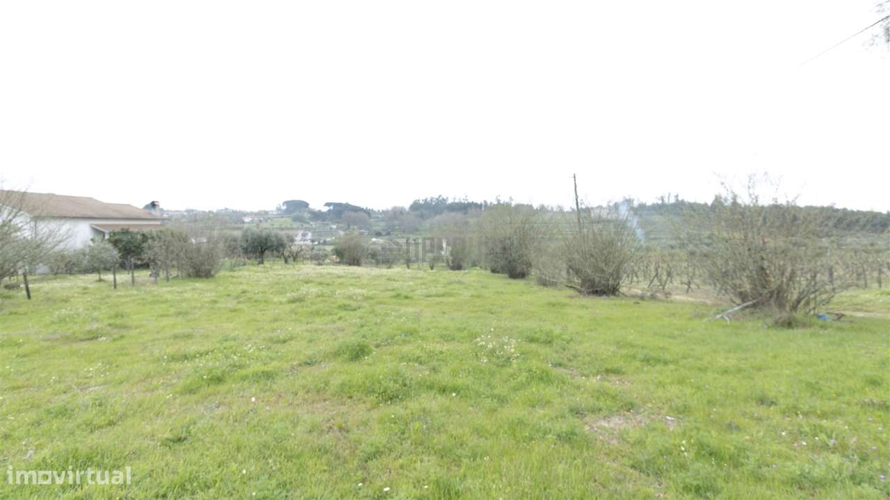 Terreno para Construção - Silgueiros - Grande imagem: 4/10