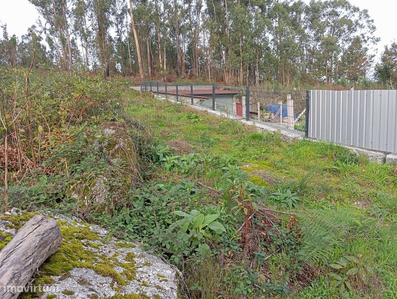 Terreno com 8.200m2 - Grande imagem: 5/6