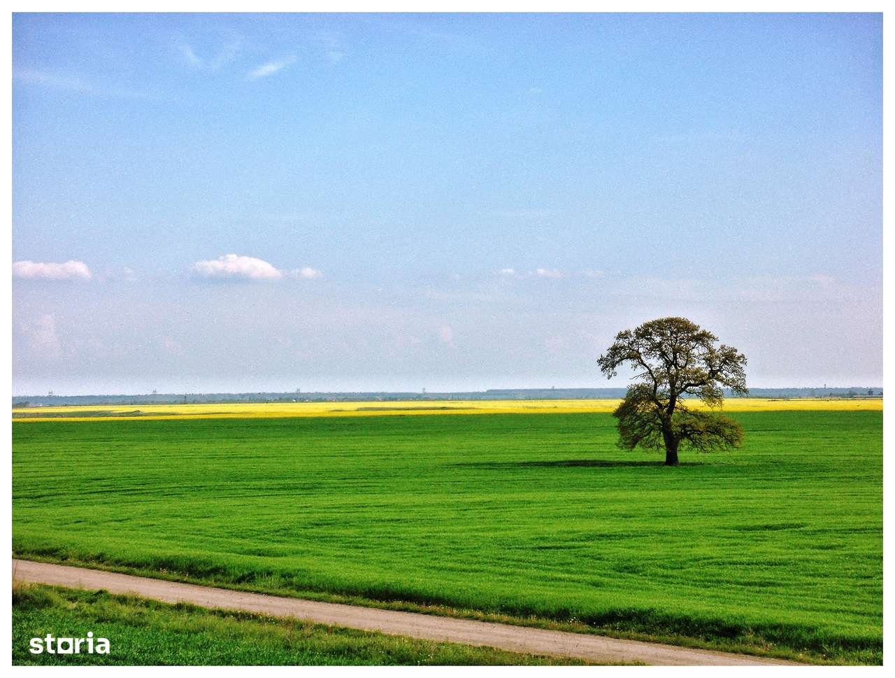 Loc de casa, retras, curat, liniste, natura, Frumusani-ComunitateVerde - Imagine principală: 5/19