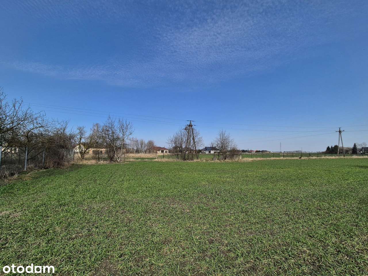 Działka budowlana 5010 m2 - Wilkowice, ul. Lipowa