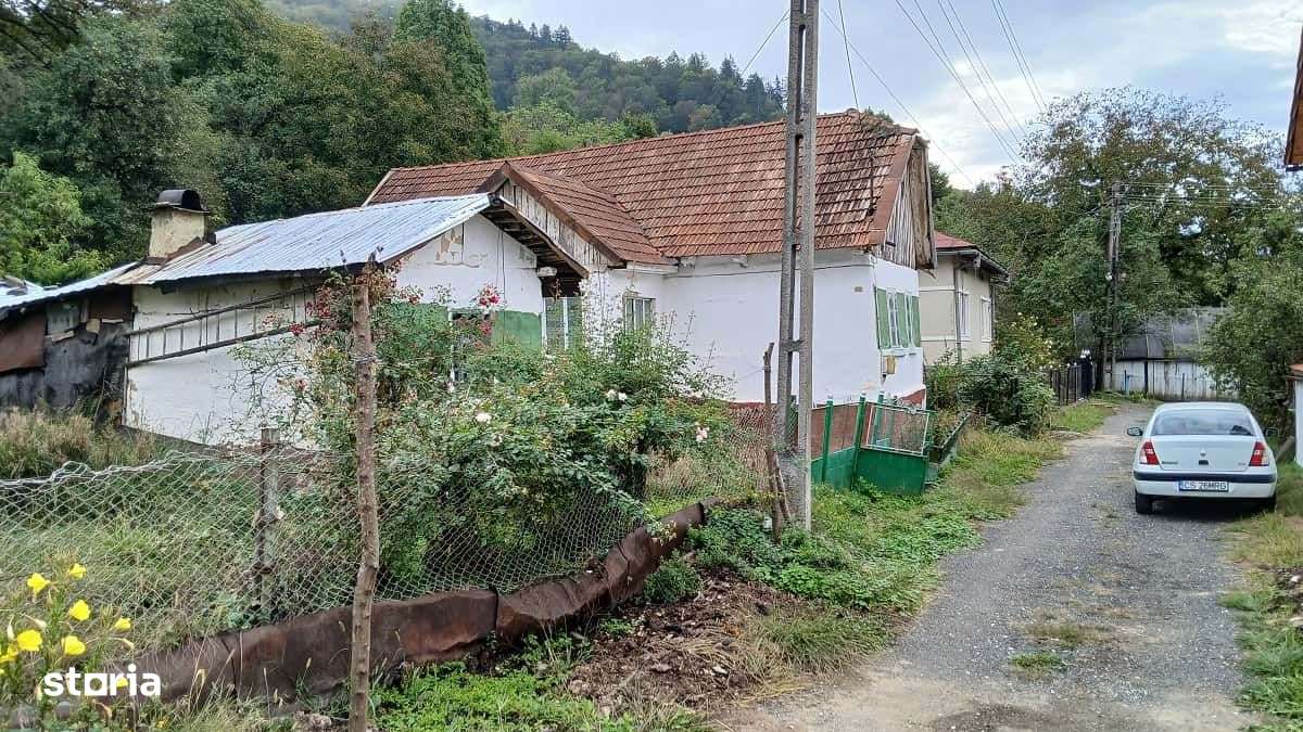 Comision 0 - Teren 3342 mp cu casa in Rusca Montana - Imagine principală: 4/10