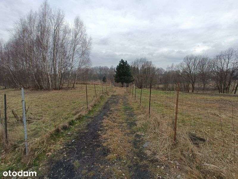 Działka budowlana tuż przy lesie, 21 a - Pełny obrazek: 2/10