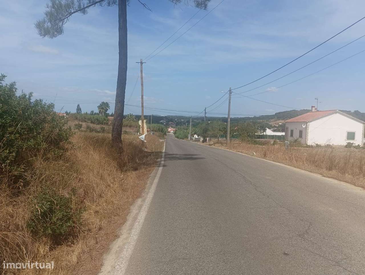 Terreno urbano, para venda, Rio Maior - São João da Ribeira e Ribei... - Grande imagem: 4/16