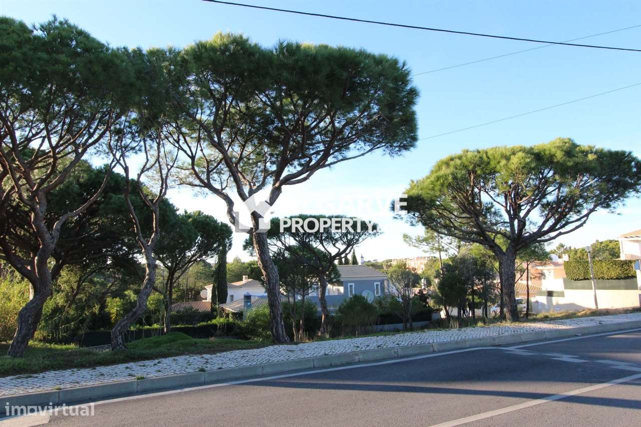 VILAS ALVAS - Lote de terreno perto da PRAIA - Grande imagem: 5/7