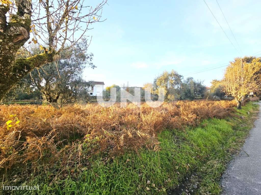 Terreno Rústico - Possibilidade de Construção-8