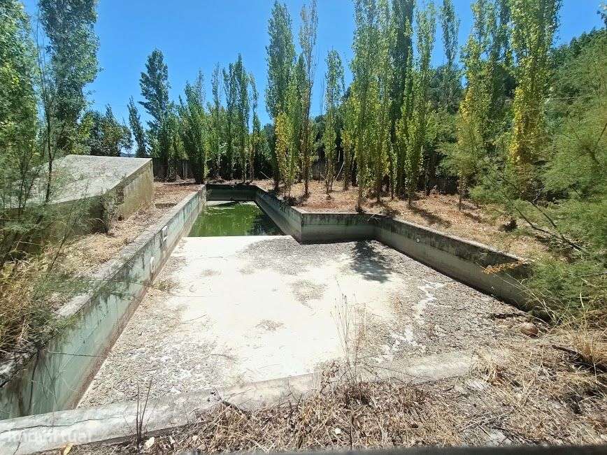 Quintinha em plena lezíria ribatejana, ideal para projeto turístico!-6